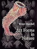 Art Forms in Nature livre