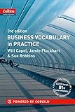 Business Vocabulary in Practice livre