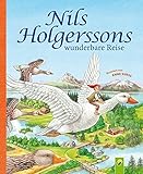 Nils Holgerssons wunderbare Reise livre