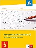 Verstehen und Trainieren: Grundaufgaben zum Zahlenbuch 3. Schuljahr (Programm Mathe 2000+) livre