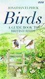 Birds: A Guide Book to British Birds livre