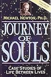 Journey of Souls: Case Studies of Life Between Lives livre