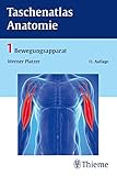 Taschenatlas Anatomie, Band 1: Bewegungsapparat livre