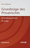 Grundzüge des Privatrechts: Für Ausbildung und Praxis (Manz Studienbücher) livre