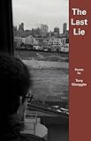 The Last Lie livre