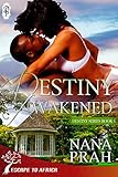 Destiny Awakened (Destiny African Romance #4) (English Edition) livre