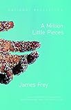 A Million Little Pieces (English Edition) livre