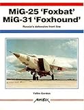 Mig-25 'Foxbat' Mig-31 'Foxhound': Russia's Defensive Front Line livre