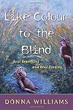 Like Colour to the Blind: Soul Searching and Soul Finding livre