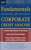 Standard & Poor's Fundamentals of Corporate Credit Analysis (English Edition) livre