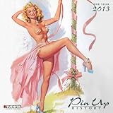 Pin Up History 2013 livre