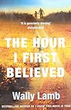 The Hour I First Believed livre