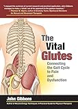The Vital Glutes: Connecting the Gait Cycle to Pain and Dysfunction (English Edition) livre