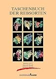 Taschenbuch der Rebsorten livre