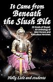 It Came From Beneath the Slush Pile: 20 Kinds of Stupid: An Anthology of Idiot Heroes and Ridiculous livre