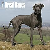 Great Danes 2018 (18 monate Kalender) (Wall-Kalender) livre