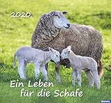 Ein Leben für die Schafe 2020 livre