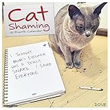 Cat Shaming 2018 Calendar livre