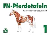 FN-Pferdetafeln Set / FN-Pferdetafeln Set 1: Anatomie und Gesundheit livre