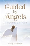 Guided By Angels: There Are No Goodbyes, My Tour of the Spirit World (English Edition) livre