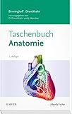 Benninghoff Taschenbuch Anatomie livre