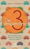 Die 3 Versprechen: Was uns Halt gibt, wenn das Leben uns herausfordert livre