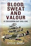 Blood, Sweat and Valour: 41 Squadron RAF 1942-1945 livre