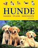 Hunde livre