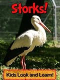 Storks! Learn About Storks and Enjoy Colorful Pictures - Look and Learn! (50+ Photos of Storks) (Eng livre