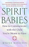 Spirit Babies: How to Communicate with the Child You're Meant to Have livre