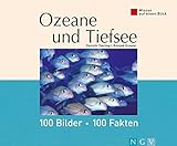 Wissen auf einen Blick. Ozeane und Tiefsee: 100 Bilder - 100 Fakten livre