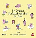 Blinies: Dutzend Glücksschweine Postkartenkalender - Kalender 2019 livre