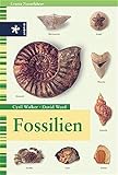 Fossilien livre