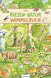 Das Riesen-Natur-Wimmelbuch livre