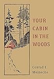 Your Cabin in the Woods livre