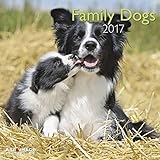Family Dogs 2017 - Familienhunde A&I, Hundekalender - 30 x 30 cm livre