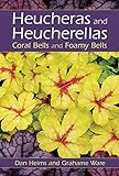 Heucheras And Heucherellas: Coral Bells And Foamy Bells livre