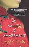 The Valley of Amazement livre