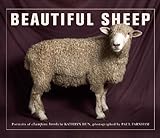 Beautiful Sheep livre