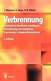 Verbrennung: Physikalisch-Chemische Grundlagen, Modellierung und Simulation, Experimente, Schadstoff livre