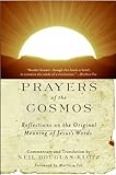 Prayers of the Cosmos: Reflections on the Original Meaning of Jesus' Words (English Edition) livre
