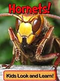 Hornets! Learn About Hornets and Enjoy Colorful Pictures - Look and Learn! (50+ Photos of Hornets) ( livre