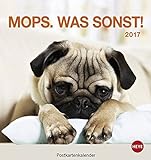 Mops Postkartenkalender - Kalender 2017 livre