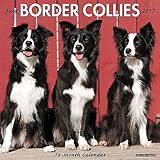 Just Border Collies 2017 Calendar livre