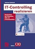 IT-Controlling realisieren: Praxiswissen für IT-Controller, CIOs und IT-Verantwortliche (Edition CI livre