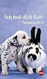 Mini Tierbabys Ich hab dich lieb! - Kalender 2019 livre