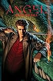 Angel: After the Fall Volume 1 TPB livre