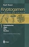 Kryptogamen 1: Cyanobakterien Algen Pilze Flechten Praktikum und Lehrbuch livre