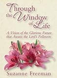 Through the Window of Life (English Edition) livre