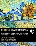 Projective Geometry, Volume I livre